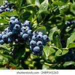 Ag开奖结果最新公布,实时更新中奖号码信息 5bxg7n