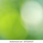 立即博娱乐:畅享无与伦比的在线娱乐体验 cf8ty272a