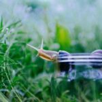 《52开奖北》最新开奖结果与中奖号码查询 fqzbj2v9