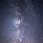 “衰绿直播”背后的网络文化现象解析 lxl1ao6nbc