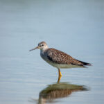 《FIFA Online 4》精彩赛事直播:绿茵豪门激战一触即发 yxt35wjokt